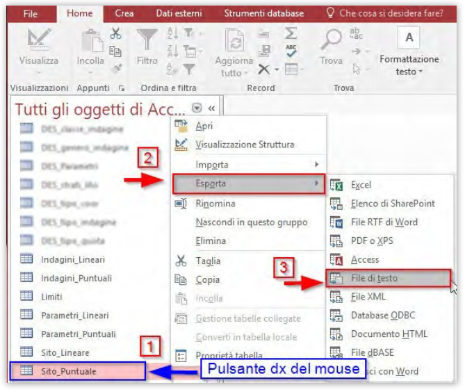 ../_images/esportazione_access.png
